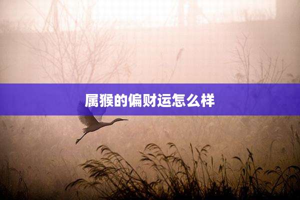 属猴的偏财运怎么样