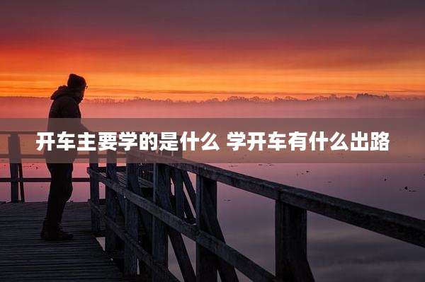 开车主要学的是什么 学开车有什么出路