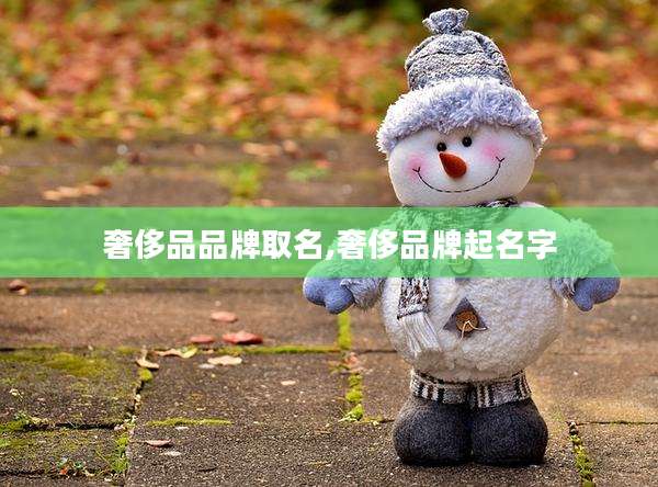 奢侈品品牌取名,奢侈品牌起名字