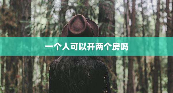 一个人可以开两个房吗