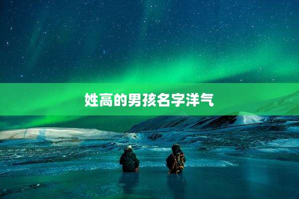 姓高的男孩名字洋气