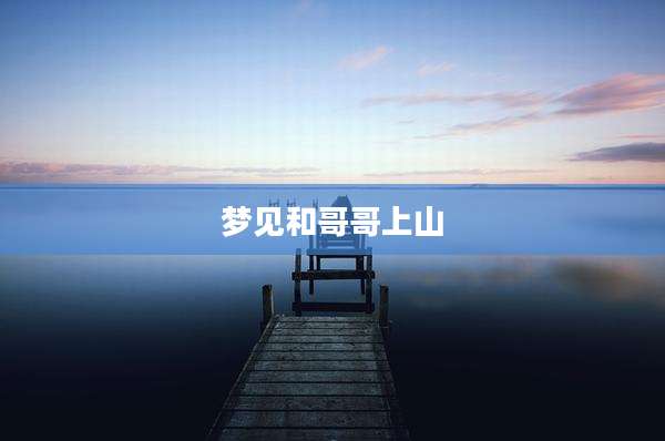 梦见和哥哥上山
