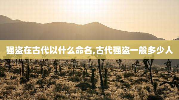 强盗在古代以什么命名,古代强盗一般多少人
