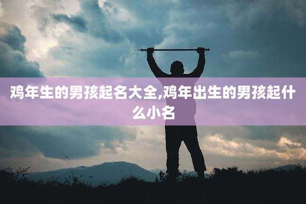 鸡年生的男孩起名大全,鸡年出生的男孩起什么小名