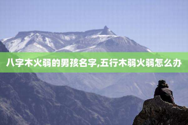 八字木火弱的男孩名字,五行木弱火弱怎么办