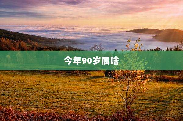 今年90岁属啥
