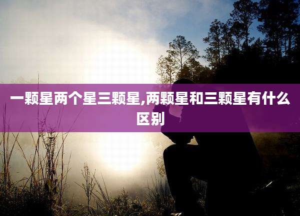 一颗星两个星三颗星,两颗星和三颗星有什么区别
