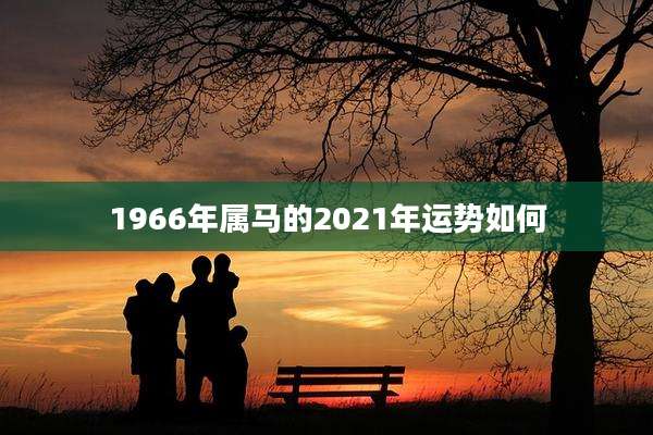 1966年属马的2021年运势如何