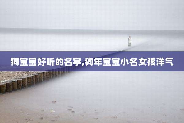 狗宝宝好听的名字,狗年宝宝小名女孩洋气
