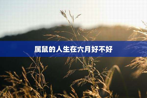 属鼠的人生在六月好不好