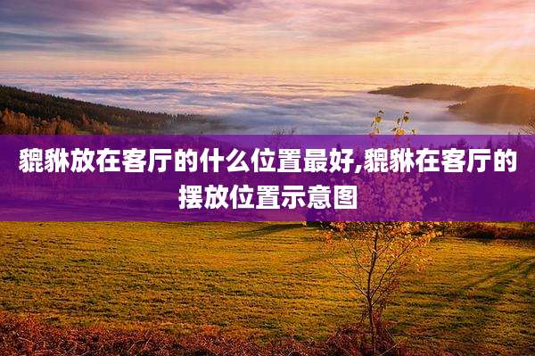 貔貅放在客厅的什么位置最好,貔貅在客厅的摆放位置示意图