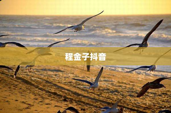 程金子抖音