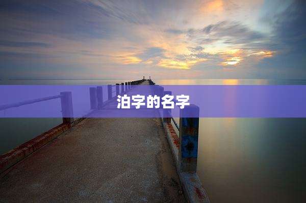 泊字的名字