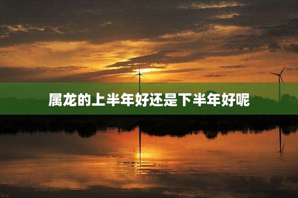 属龙的上半年好还是下半年好呢