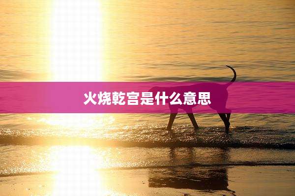 火烧乾宫是什么意思