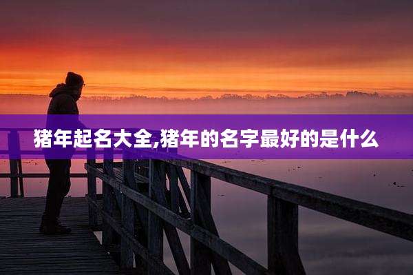 猪年起名大全,猪年的名字最好的是什么