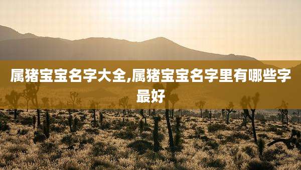属猪宝宝名字大全,属猪宝宝名字里有哪些字最好
