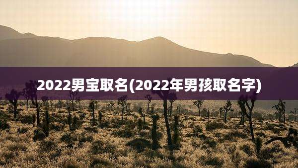2022男宝取名(2022年男孩取名字)