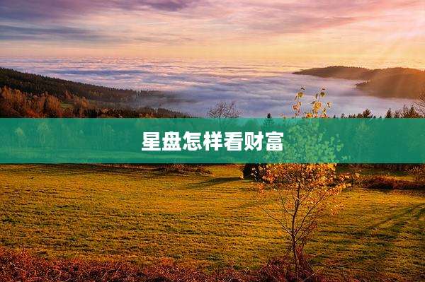 星盘怎样看财富