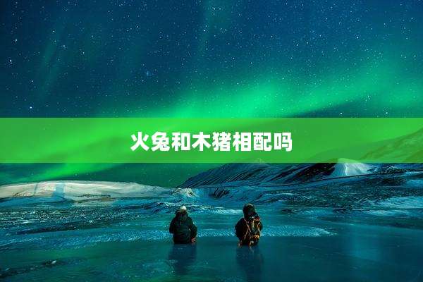 火兔和木猪相配吗
