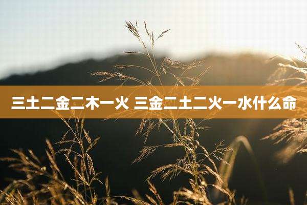 三土二金二木一火 三金二土二火一水什么命