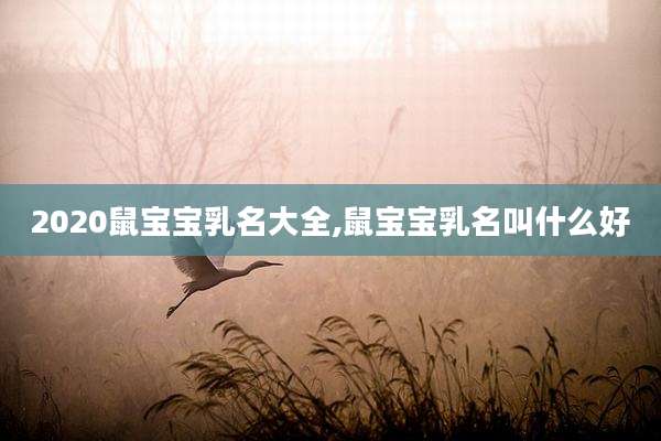 2020鼠宝宝乳名大全,鼠宝宝乳名叫什么好