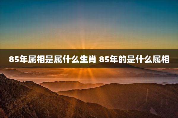85年属相是属什么生肖 85年的是什么属相
