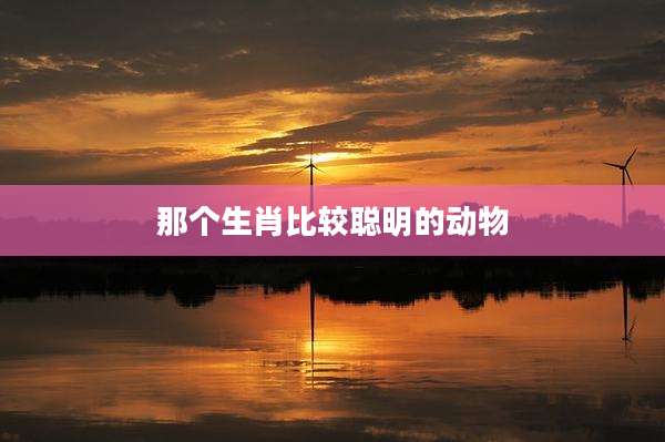 那个生肖比较聪明的动物
