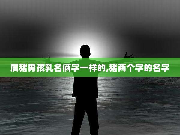 属猪男孩乳名俩字一样的,猪两个字的名字