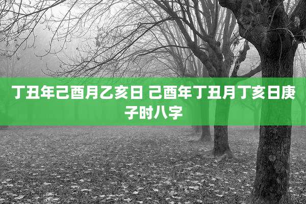丁丑年己酉月乙亥日 己酉年丁丑月丁亥日庚子时八字