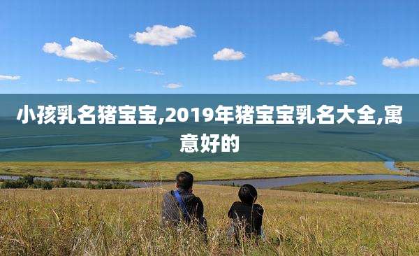 小孩乳名猪宝宝,2019年猪宝宝乳名大全,寓意好的