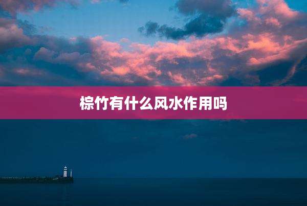 棕竹有什么风水作用吗