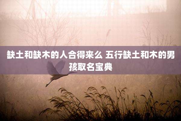 缺土和缺木的人合得来么 五行缺土和木的男孩取名宝典