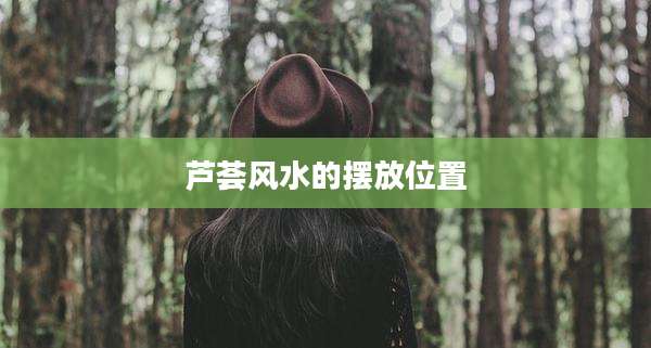 芦荟风水的摆放位置