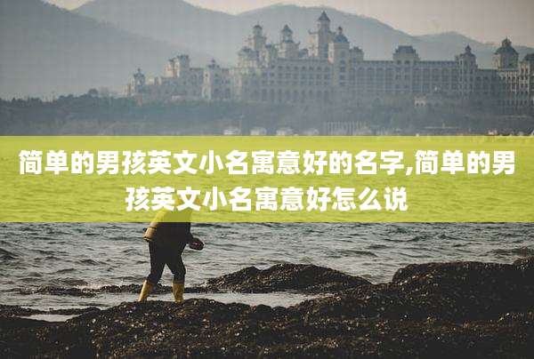 简单的男孩英文小名寓意好的名字,简单的男孩英文小名寓意好怎么说