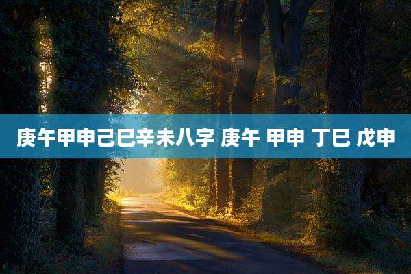 庚午甲申己巳辛未八字 庚午 甲申 丁巳 戊申