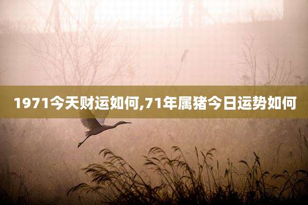1971今天财运如何,71年属猪今日运势如何