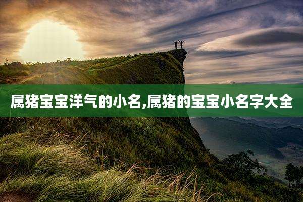 属猪宝宝洋气的小名,属猪的宝宝小名字大全