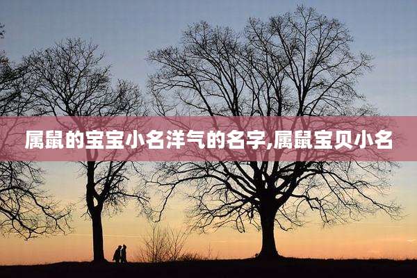 属鼠的宝宝小名洋气的名字,属鼠宝贝小名