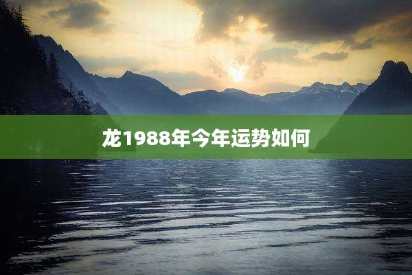 龙1988年今年运势如何