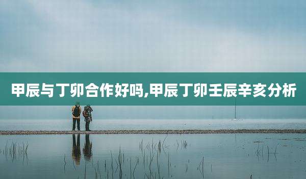 甲辰与丁卯合作好吗,甲辰丁卯壬辰辛亥分析