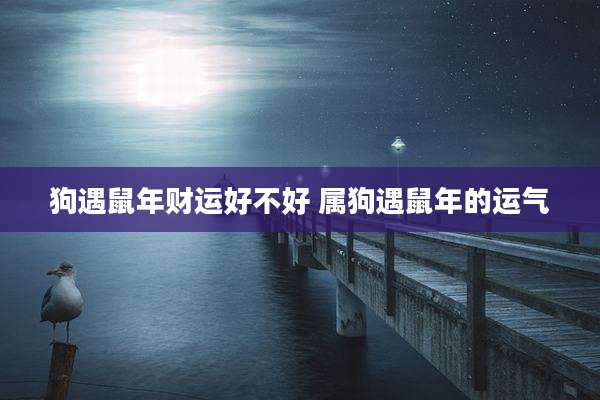 狗遇鼠年财运好不好 属狗遇鼠年的运气