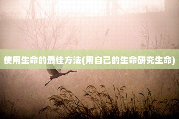 使用生命的最佳方法(用自己的生命研究生命)