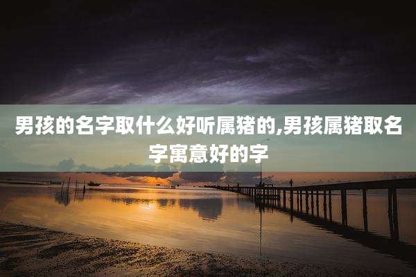 男孩的名字取什么好听属猪的,男孩属猪取名字寓意好的字