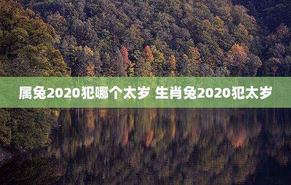属兔2020犯哪个太岁 生肖兔2020犯太岁