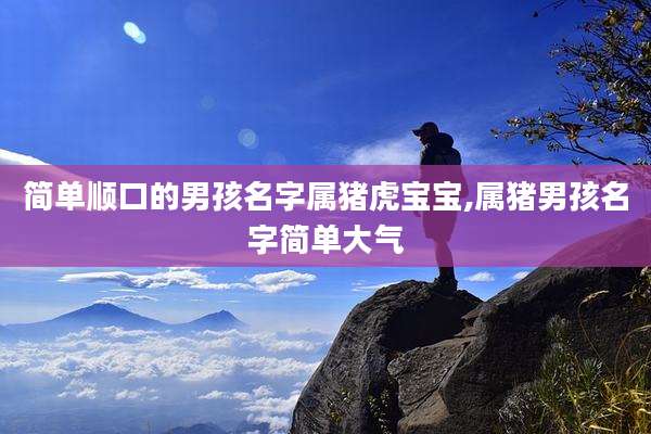 简单顺口的男孩名字属猪虎宝宝,属猪男孩名字简单大气