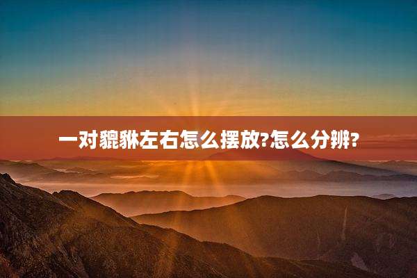 一对貔貅左右怎么摆放?怎么分辨?