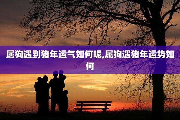 属狗遇到猪年运气如何呢,属狗遇猪年运势如何