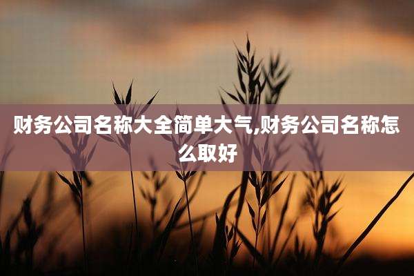 财务公司名称大全简单大气,财务公司名称怎么取好