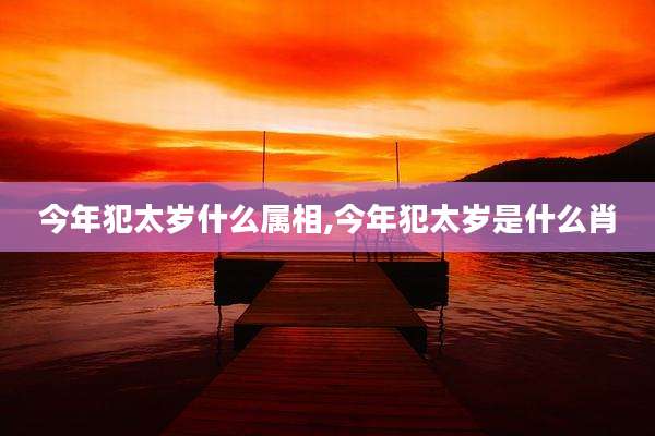 今年犯太岁什么属相,今年犯太岁是什么肖
